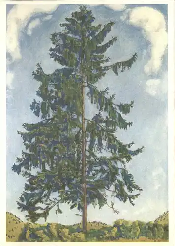 Baeume Trees Tanne Sapin Abete Kuenstlerkarte Ferdinand Hodler  Kat. Pflanzen