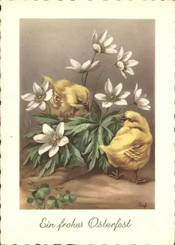 Ostern Easter Paques Kueken Blumen Amag-Verlag 2219 / Greetings /