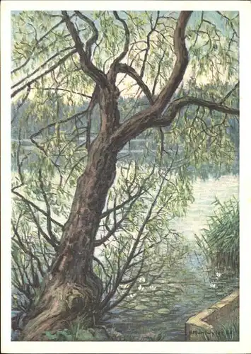 Baeume Trees Weide am Wasser Kuenstlerkarte Hermann Muntwyler Kat. Pflanzen