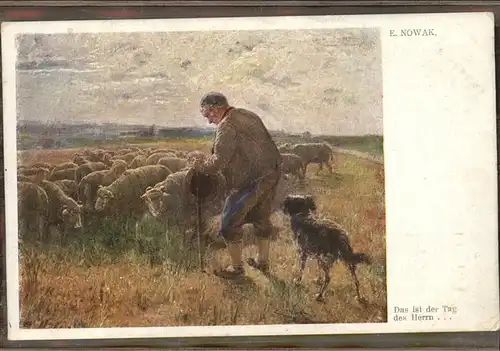 Hirte Schafe Hund Kuenstlerkarte E. Nowak Kat. Landwirtschaft