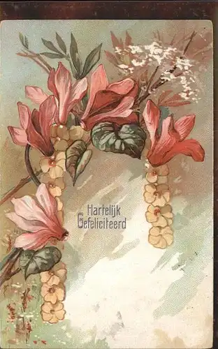 Geburtstag Blumen Niederlande Kat. Greetings