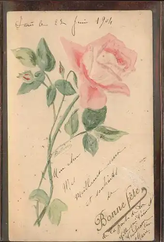 Rose Frankreich Kat. Pflanzen