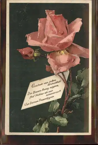 Rosen Gedicht  Kat. Pflanzen