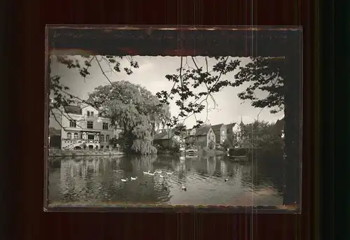 Buxtehude Stadtpark Kat. Buxtehude