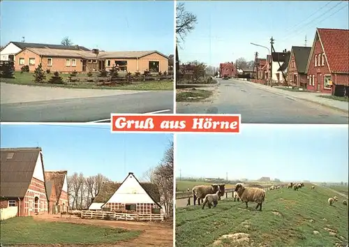 Hoerne Balje Bauernhof Ferien Kat. Balje