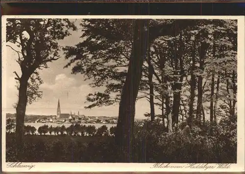 Schleswig Holstein Blick vom Haddeberger Wald / Schleswig /Schleswig-Flensburg LKR