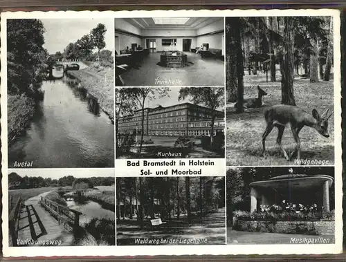 Bad Bramstedt Kurhaus Verlobungsweg Wild Trinkhalle Auetal Kat. Bad Bramstedt