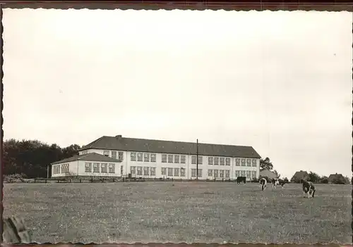 Hohenwestedt Schule Kuehe Kat. Hohenwestedt