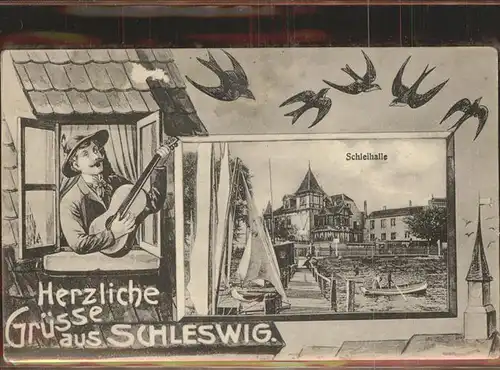 Schleswig Holstein Schleihalle Schwalben Mann mit Gitarre / Schleswig /Schleswig-Flensburg LKR