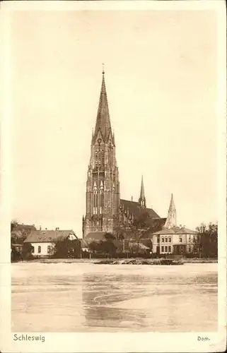 Schleswig Holstein Dom / Schleswig /Schleswig-Flensburg LKR