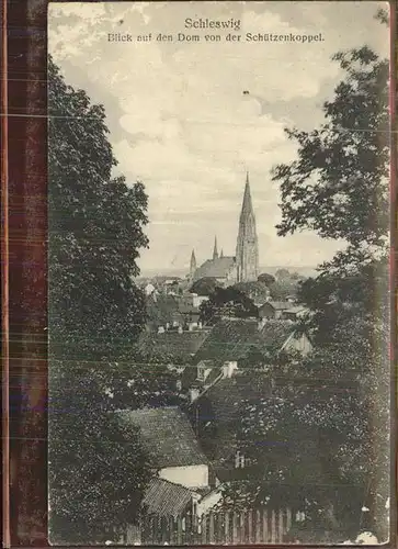 Schleswig Holstein Blick von Schuetzenkoppel auf Dom / Schleswig /Schleswig-Flensburg LKR