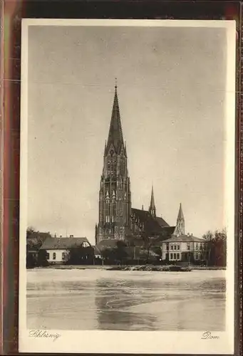 Schleswig Holstein Dom / Schleswig /Schleswig-Flensburg LKR