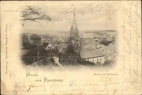 Flensburg Blick von Bellevue Kat. Flensburg