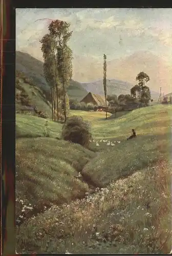 Hoffmann Heinrich Schwarzwald Idyll Landwassereck Serie IV Blatt 9 Kat. Kuenstlerkarte