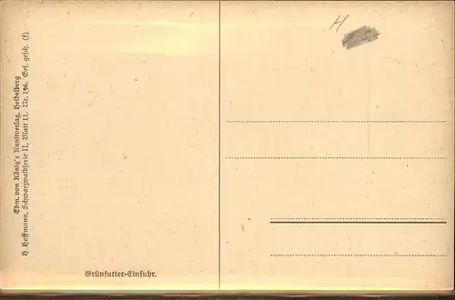 Hoffmann Heinrich Nr. 196 Gruenfutter Einfuhr Schwarzaldhaus Kuehe Kat. Kuenstlerkarte