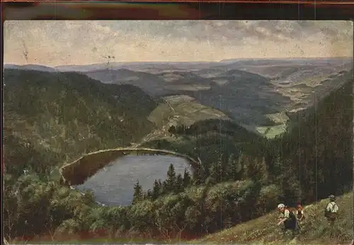 Hoffmann Heinrich Nr. 203 Feldberg Seebuck Feldsee Kat. Kuenstlerkarte