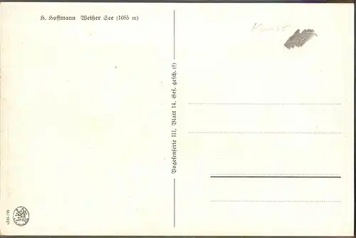 Hoffmann Heinrich Nr. M 1221 Weisser See Kuehe Kat. Kuenstlerkarte