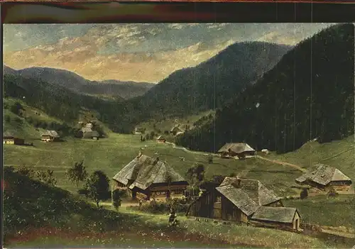 Hoffmann Heinrich Nr. 205 Hinter Todtmoos Schwarzwaldhaeuser Kat. Kuenstlerkarte