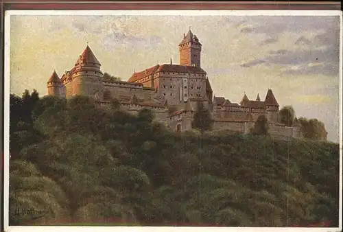 Hoffmann Heinrich Hohkoenigsburg Vogensenserie III Blatt 13  Kat. Kuenstlerkarte