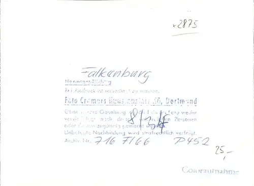 Falkenburg Pfalz Fliegeraufnahme / Wilgartswiesen /Suedwestpfalz LKR