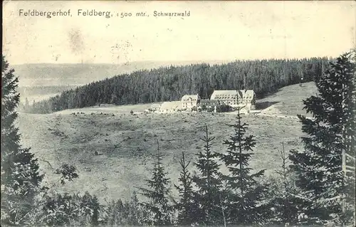 Feldberg Schwarzwald Panorama Kat. Feldberg (Schwarzwald)