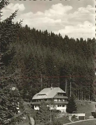 Hinterzarten Fremdenheim Auf der Waldhoehe Kat. Hinterzarten