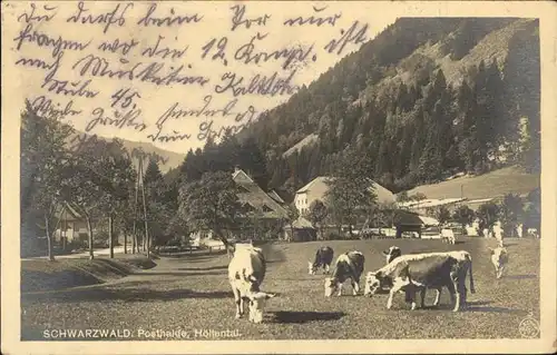 Hoellental Schwarzwald Posthalde Kuehe Kat. Buchenbach