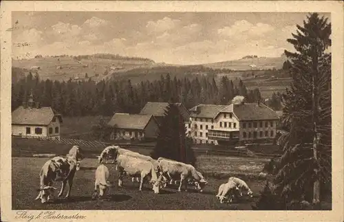 Hoellsteig Gasthaus Pension Ravennaschlucht Kuehe Kat. Hinterzarten