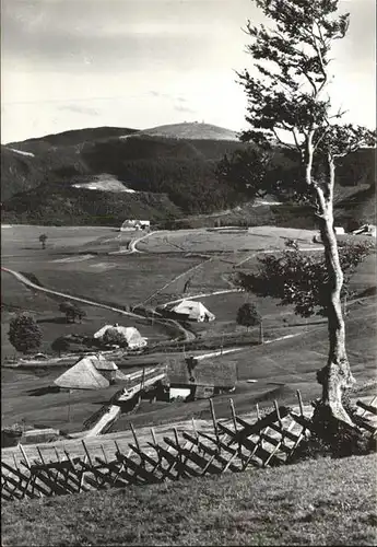 Feldberg Schwarzwald Blick zum Feldberg Kat. Feldberg (Schwarzwald)