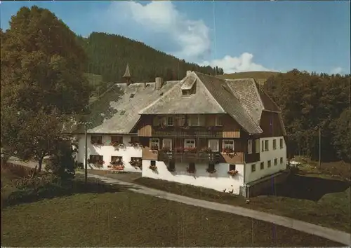 Hinterzarten Dipfelehof Kat. Hinterzarten