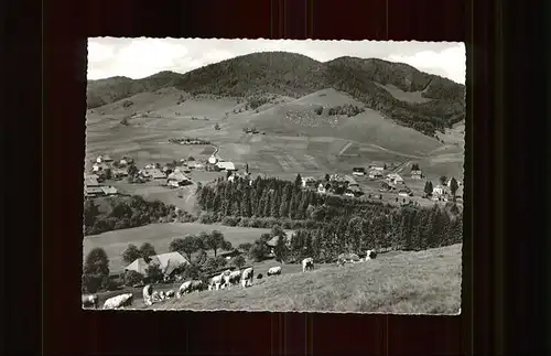 Bernau Schwarzwald Panorama Kat. Bernau im Schwarzwald