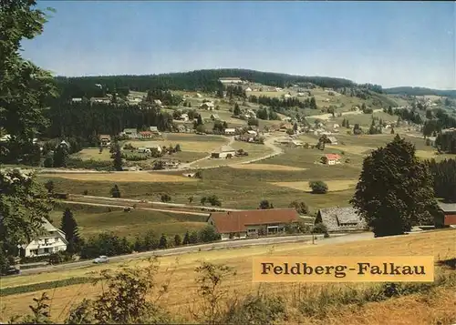 Feldberg Schwarzwald Schuppenhoernle Kinderkurheim Kat. Feldberg (Schwarzwald)