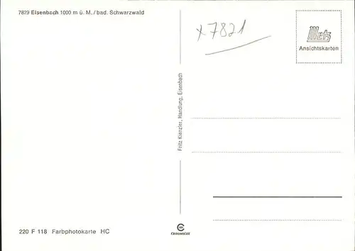 Eisenbach Schwarzwald Panorama Kat. Eisenbach (Hochschwarzwald)