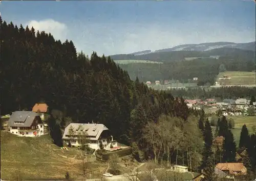 Hinterzarten Haus am Tannenhain Kat. Hinterzarten