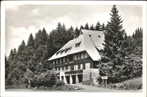 Feldberg Schwarzwald Hotel Albquelle Kat. Feldberg (Schwarzwald)