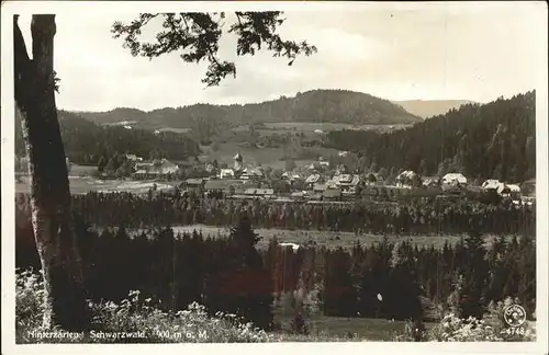 Hinterzarten Panorama Kat. Hinterzarten