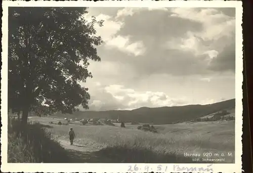 Bernau Schwarzwald Panorama Kat. Bernau im Schwarzwald