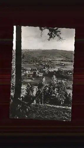 Haeusern Schwarzwald Ortsblick Kat. Haeusern