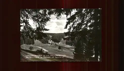 Bonndorf Schwarzwald Steinatal mit Sommerau Kat. Bonndorf