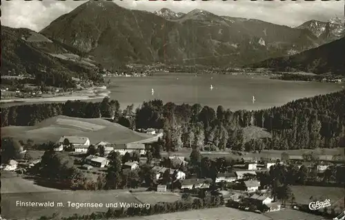 Finsterwald Tegernsee und Wallberg Panorama Kat. Gmund a.Tegernsee