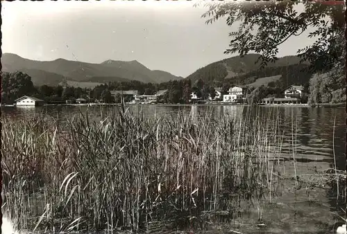 Tegernsee Partie am See Kat. Tegernsee