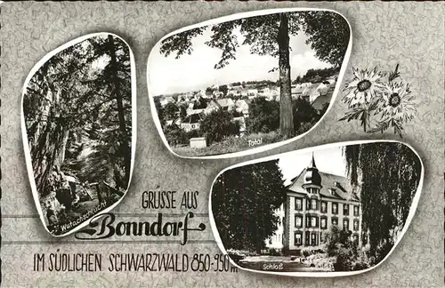 Bonndorf Schwarzwald Wutachschlucht Schloss Gesamtansicht Kat. Bonndorf