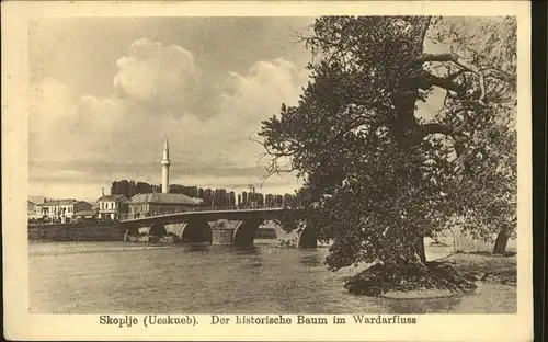 Baeume Trees historischer Baum Wardarfluss Skoplje Kat. Pflanzen