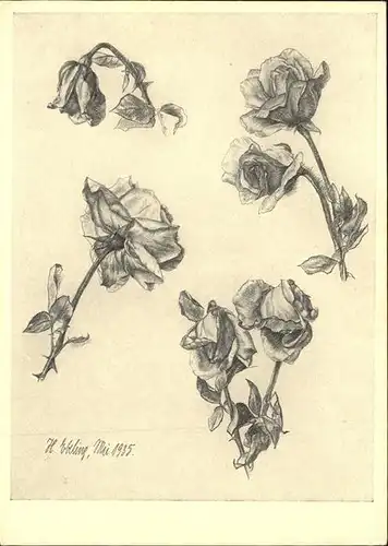 Rosen Kuenstlerkarte Hildegard Ebeling Bleistiftzeichnung Kat. Pflanzen