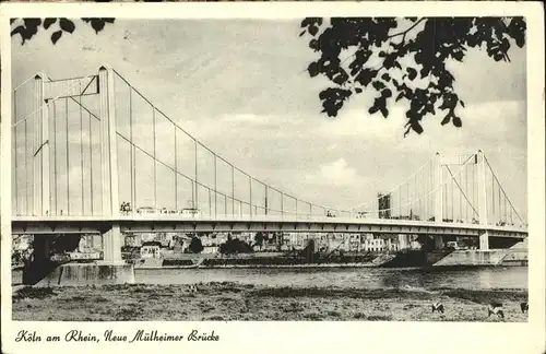 Bruecken Bauwerke Koeln a. Rh. Neue Muelheimer Bruecke Kat. Bruecken