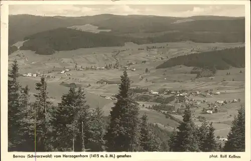 Schwarzwald Herzogenhorn  Kat. Regionales