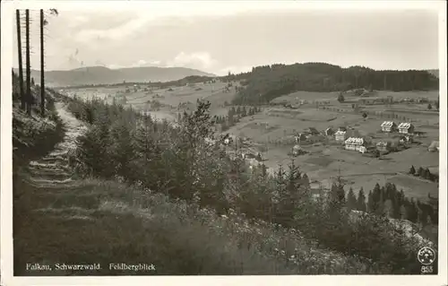 Schwarzwald Falkau Feldbergblick Kat. Regionales