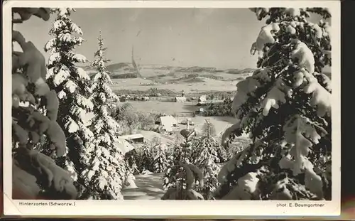 Schwarzwald Baeume Winter Kat. Regionales