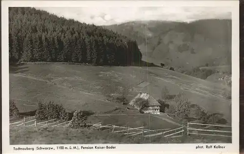 Schwarzwald Totdnauberg Pension Kaiser Bader Kat. Regionales