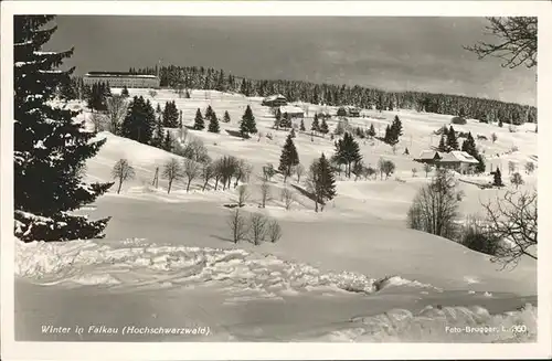 Schwarzwald Winter Falkau Kat. Regionales